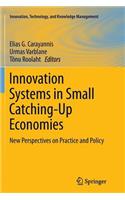 Innovation Systems in Small Catching-Up Economies