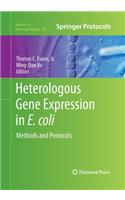 Heterologous Gene Expression in E.Coli