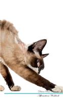 Devon Rex Affirmations Workbook Devon Rex Presents: Positive and Loving Affirmations Workbook. Includes: Mentoring Questions, Guidance, Supporting You.