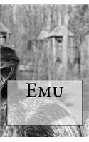 Emu