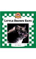 Little Brown Bats: (Checkerboard Animal Library)