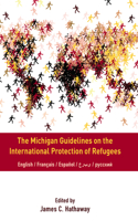 Michigan Guidelines on the International Protection of Refugees