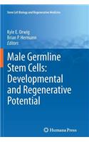 Male Germline Stem Cells: Developmental and Regenerative Potential