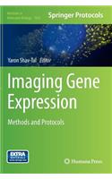 Imaging Gene Expression