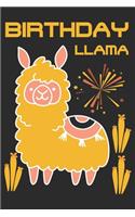 Birthday llama: A 101 Page Prayer notebook Guide For Prayer, Praise and Thanks. Made For Men and Women. The Perfect Christian Gift For Kids, Teens, College Students