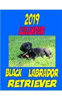 2019 Calendar Black Labrador Retriever: Personal contacts, notes, password log, to do list and more.