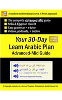Your 30-Day Learn Arabic Plan (Advanced-Mid Guide), Gold: Audios, MP3 + E-Tutor by Falooka(10 14 Booklet)