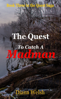 The Quest to Catch a Madman: Book Three in the Quest Saga(3 Quest Saga)