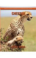 Cheetah