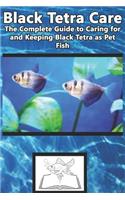 Black Tetra Care