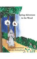 Spring Adventure in the Wood