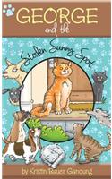 George and the Stolen Sunny Spot