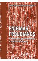 Enigmas freudianos