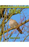 Dove: Amazing Fun Facts and Pictures about Dove for Kids