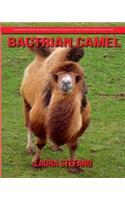 Bactrian camel: Children's Book of Amazing Photos and Fun Facts about Bactrian camel