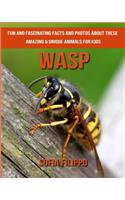 Wasp