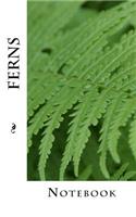 Ferns: Notebook, 150 lined pages, softcover, 5" x 8"