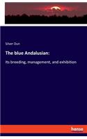 The blue Andalusian