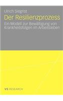 Der Resilienzprozess