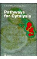 Pathways for Cytolysis