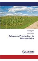Babycorn Production in Maharashtra