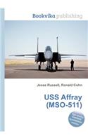 USS Affray (Mso-511)