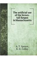 The Artificial Use of the Brown-Tail Fungus in Massachusetts