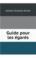 Guide pour les égarés: (French)