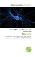 Neurone