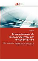 Micromécanique de l''endommagement Par Homogénéisation