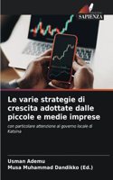 Le varie strategie di crescita adottate dalle piccole e medie imprese