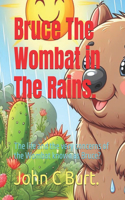 Bruce The Wombat in The Rains.