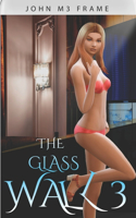Glass Wall 3