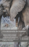 A la découverte de l'éléphant