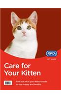 Care for Your Kitten