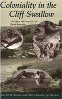 Coloniality in the Cliff Swallow: The Effect of Group Size on Social Behavior