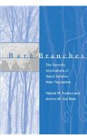 Bare Branches