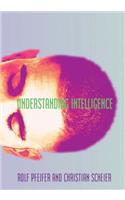 Understanding Intelligence