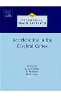 Acetylcholine in the Cerebral Cortex