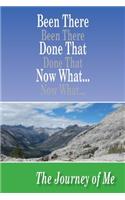 Been There Done That Now What