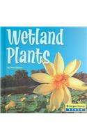 Wetland Plants
