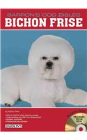 Bichon Frise
