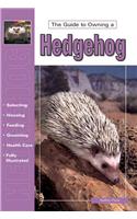The Guide to Owning a Hedgehog