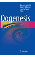 Oogenesis
