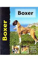 Boxer