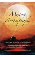 Meeting Anthroposophy
