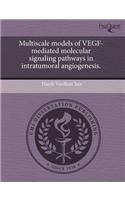 Multiscale Models of Vegf-Mediated Molecular Signaling Pathways in Intratumoral Angiogenesis