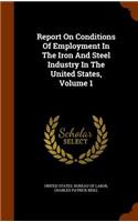 Report on Conditions of Employment in the Iron and Steel Industry in the United States, Volume 1