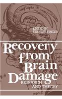 Recovery from Brain Damage