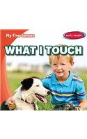 What I Touch: (My Five Senses)